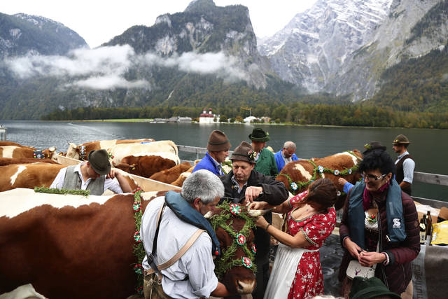 3082354_web1_3082354-cd1df7346bc6459ca682e26070d132a5