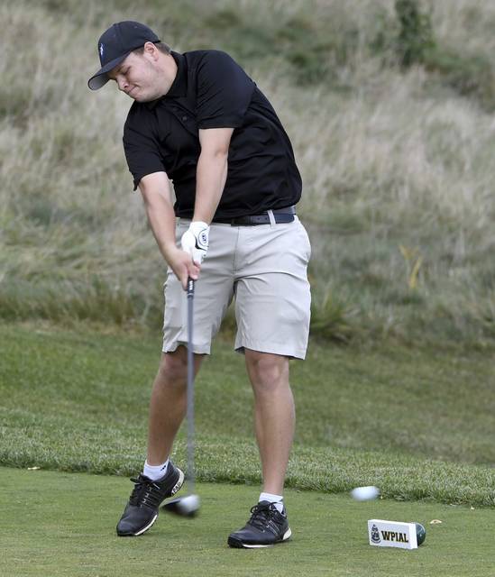 Leechburg senior Cole Villa finishes 2nd at WPIAL Class AA individual championship