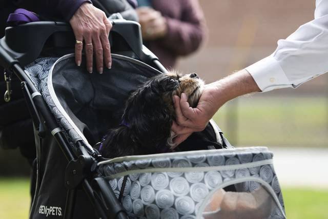 3088638_web1_vnd-AnimalBlessing-269-100520