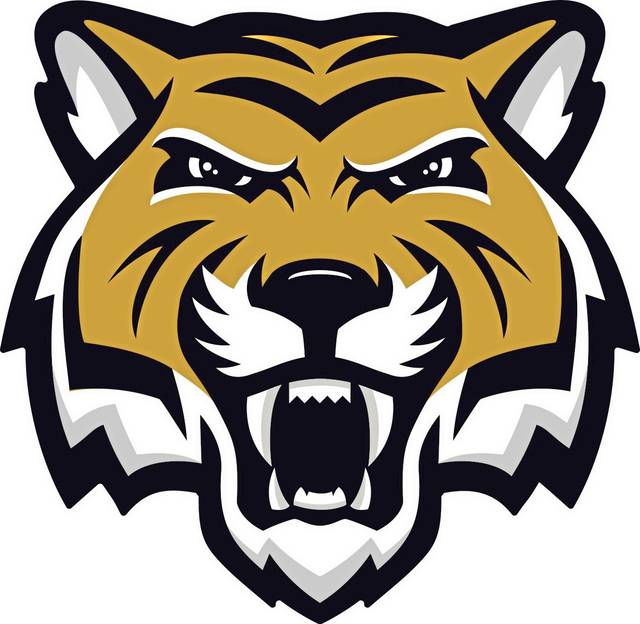 3094569_web1_nj-NewTigerLogoNA-081320