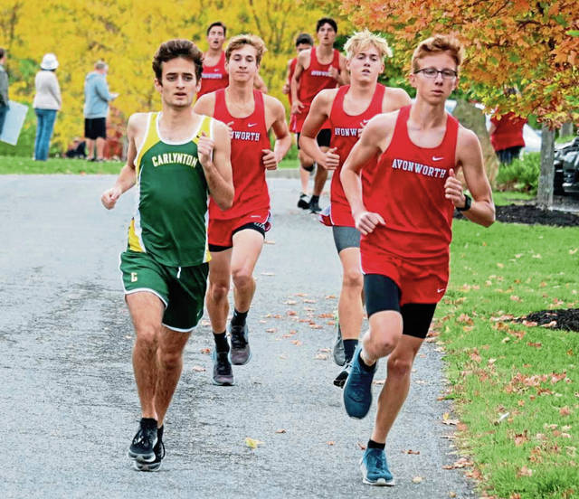 Carlynton cross country runner on comeback trail after hip surgery