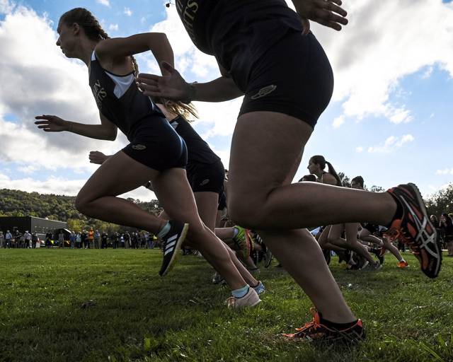 PIAA tweaks fall playoff brackets, cross country qualifiers for state championship