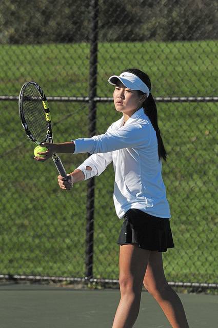 North Journal notebook: North Allegheny tennis earns playoff berth