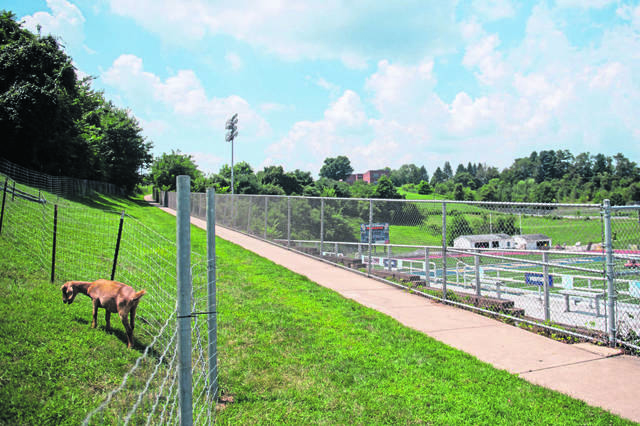 The Birdie has questions, lots of questions, about Westmoreland County attendance limits