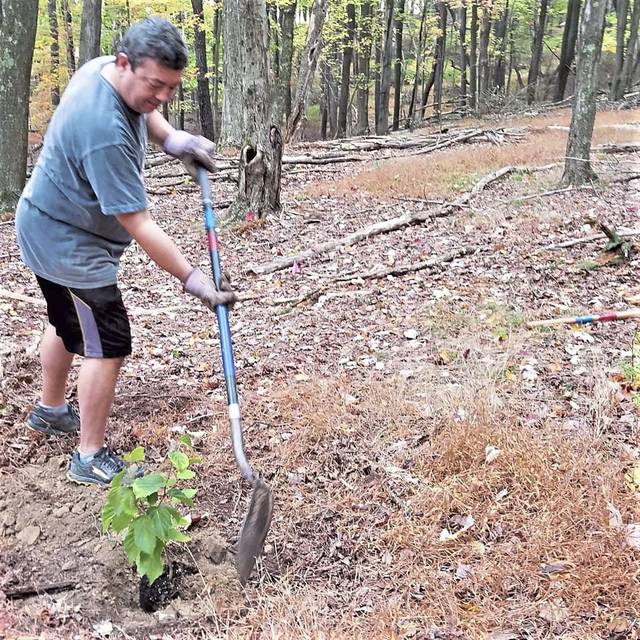 3122979_web1_nj-NorthParkTreePlanting7-102220