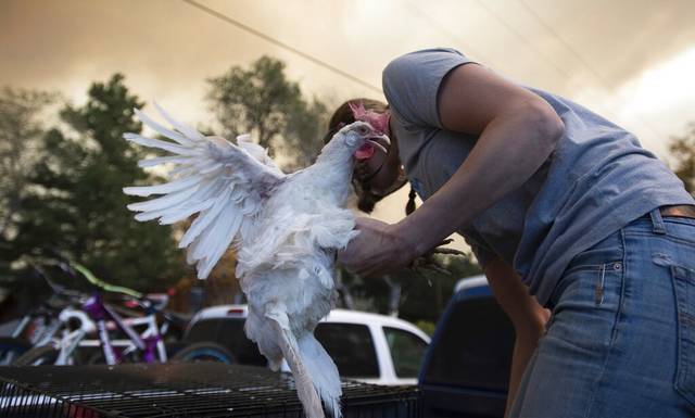 3125310_web1_AP20288749102651