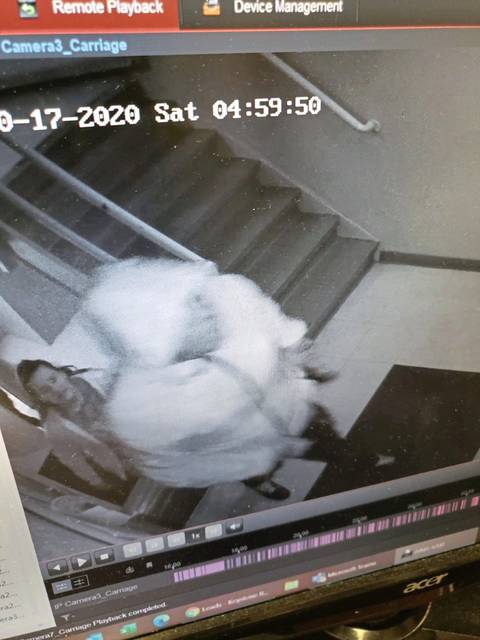 3138090_web1_suspect1