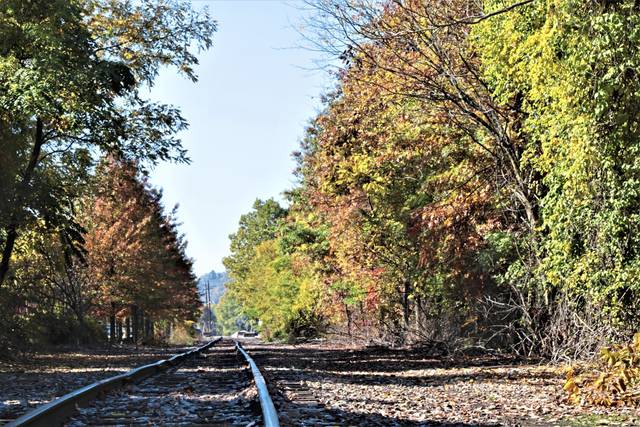 3140262_web1_WEB-fall-foliage