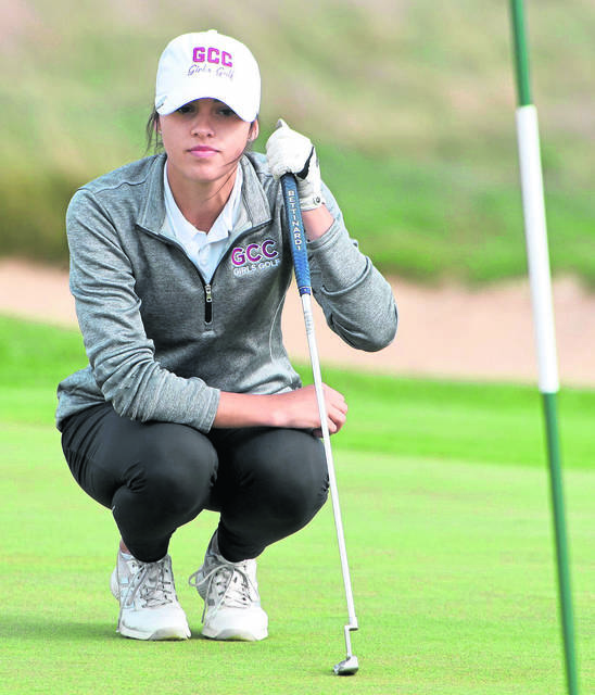 WPIAL has numerous place winners, no champions at Class AA state golf tournament