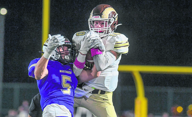 The Birdie volunteers to campaign for A-K Valley bubble teams