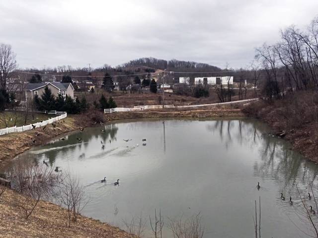 3144333_web1_gtr-murryponds-020919