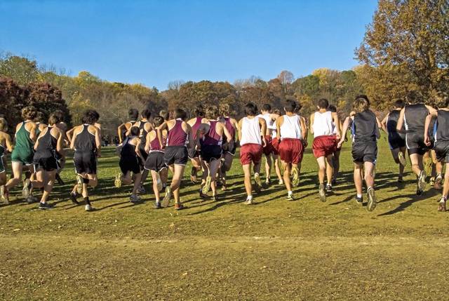 Quaker Valley cross country builds strong program with youth, experience
