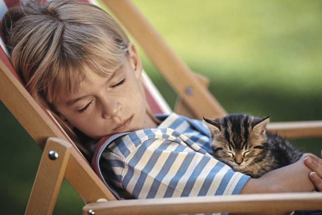 3168300_web1_web-nap