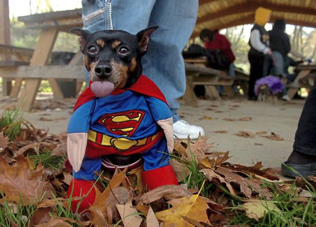 3168542_web1_gtr-dogcostumes2-102820