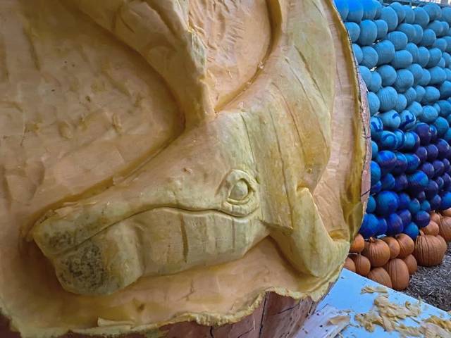 3171669_web1_PTR-MONSTERPUMPKINS-10
