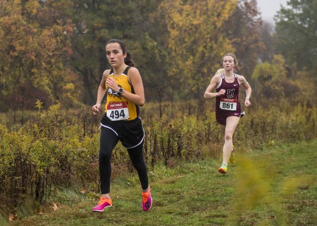 Brownsville runner keeps WPIAL Class 2A cross country gold in family