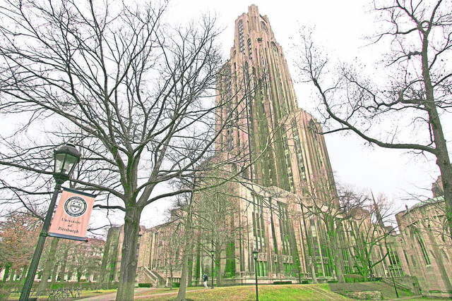 3181084_web1_web-pitt4