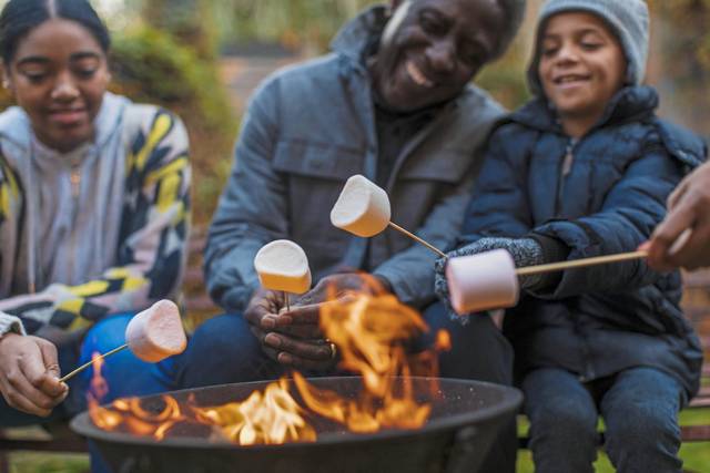 3173316_web1_web-toastmarshmallows