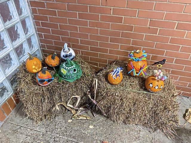 3176475_web1_te-pumpkinpatches04-110520