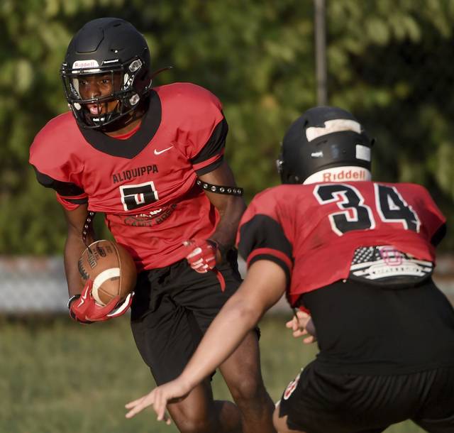 WPIAL playoffs roundup: No. 1 Aliquippa blanks Hampton in opening round