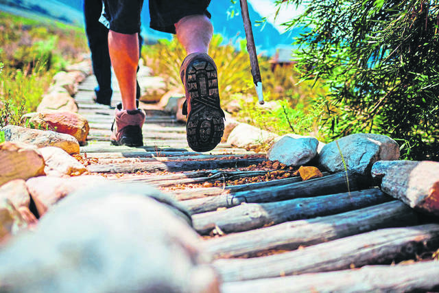 3189585_web1_web-walking