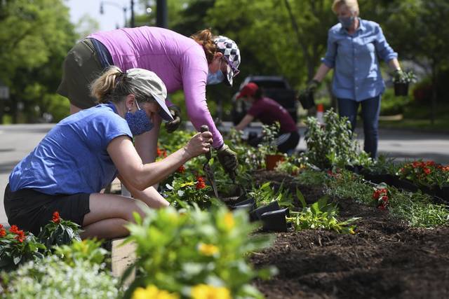 Broad Street Flower Project, Bonus Borrows and more at Sewickley Public Library