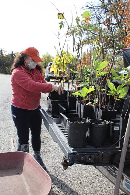 3195842_web1_PHP-churchilltreeplanting-111220--4-