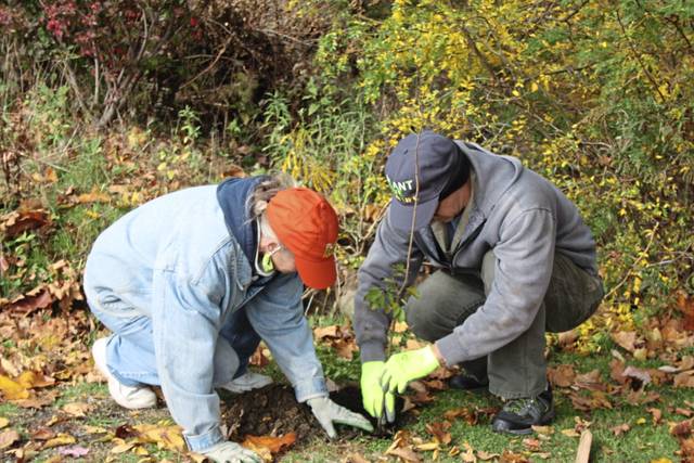 3195842_web1_PHP-churchilltreeplanting-111220--5-