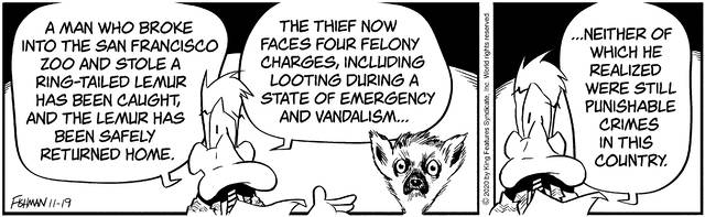 Slide 6