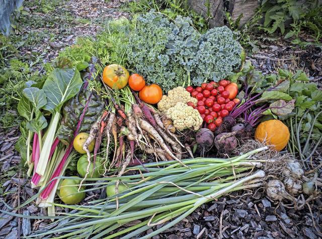 3198119_web1_php-communitygarden01-111220