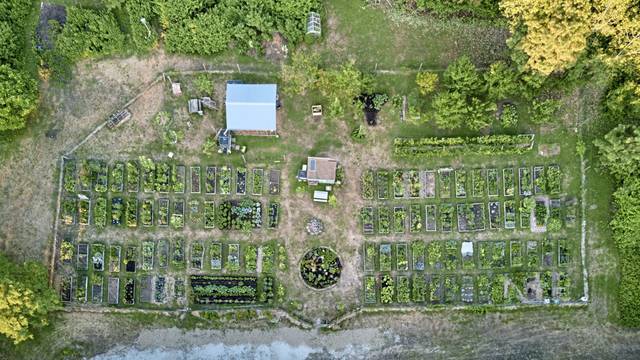 3198119_web1_php-communitygarden03-111220