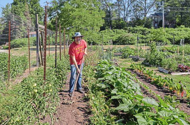 3198119_web1_php-communitygarden04-111220