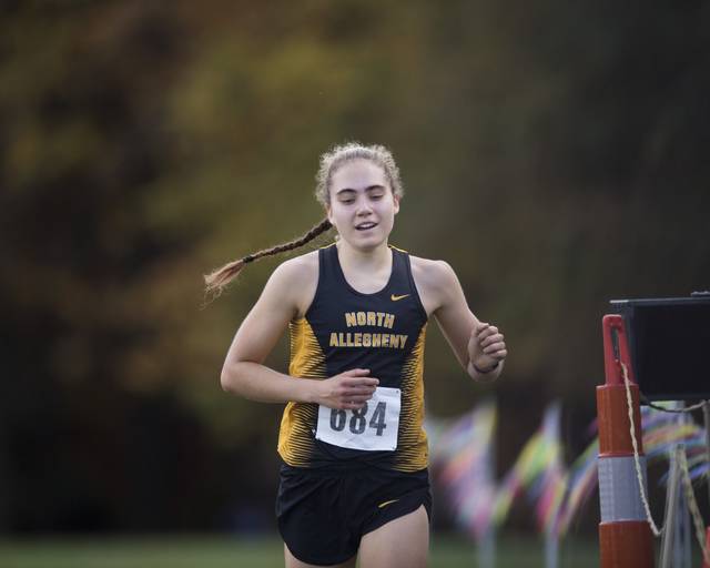 North Allegheny cross country teams set for unique PIAA championship race