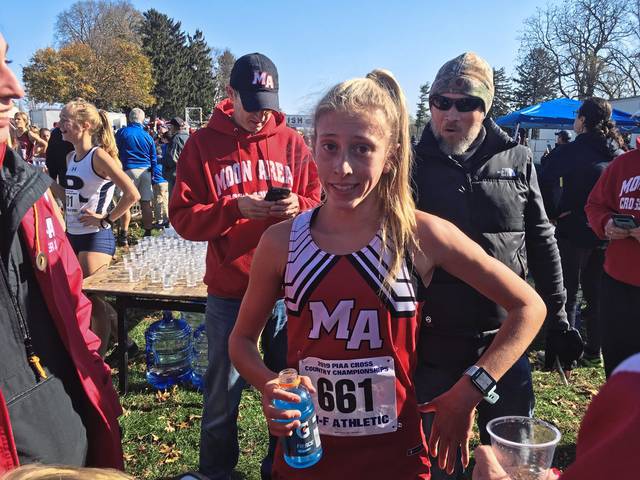 Moon’s Cochran, Shenango’s Medvit claim PIAA cross country titles