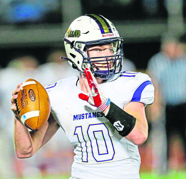 A-K Valley high school football notebook: Semifinal loss ends historic season for Plum