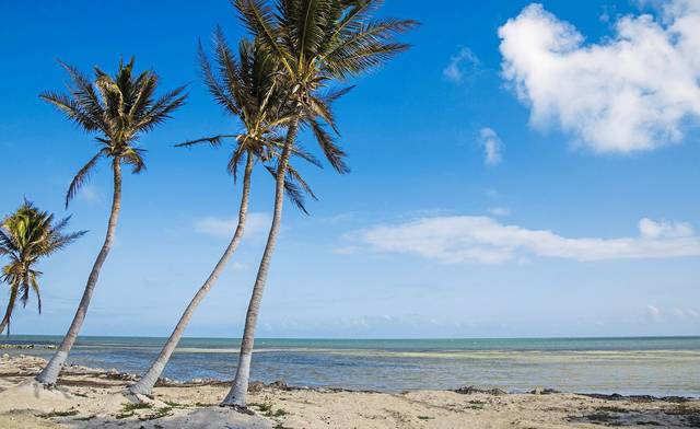 3220497_web1_web-beach-file