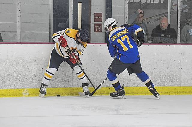 Hampton hockey making dramatic improvements
