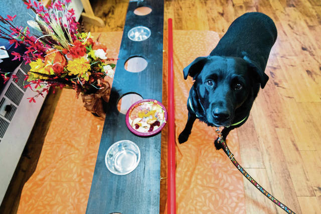 3249091_web1_GTR-Pupsgiving-371-112320