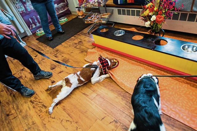 3249091_web1_GTR-Pupsgiving-372-112320