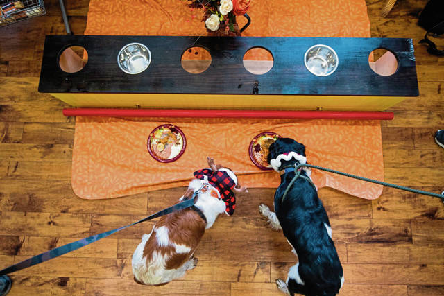 3249091_web1_GTR-Pupsgiving-375-112320