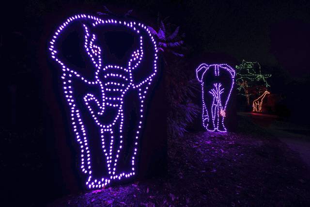 3256360_web1_web-zoolights01