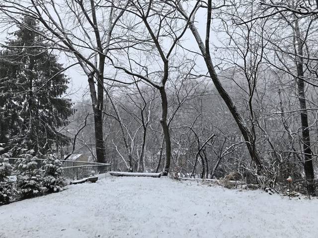 3286699_web1_ptr-snow-BS01-120220.jpg