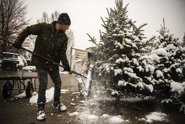 3294806_web1_GTR-ChristmasTrees-7-120320