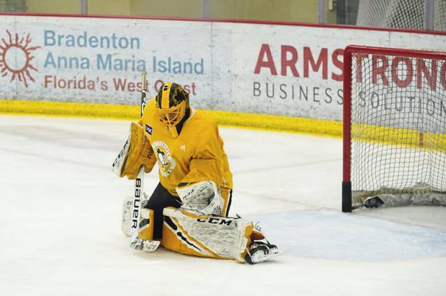 3337333_web1_ptr-Pens6-121620