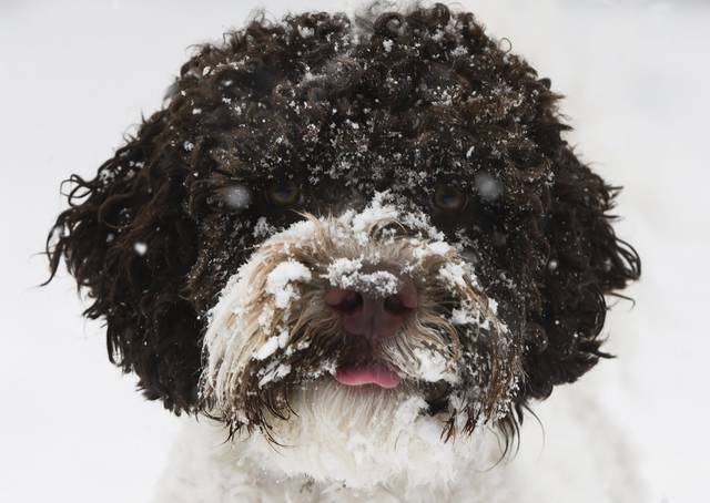 3338718_web1_ptr-snow502-121720