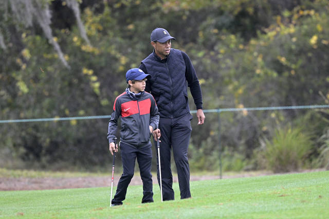 3347455_web1_3347455-6fc5594b992940cdb3156434cb73cd86