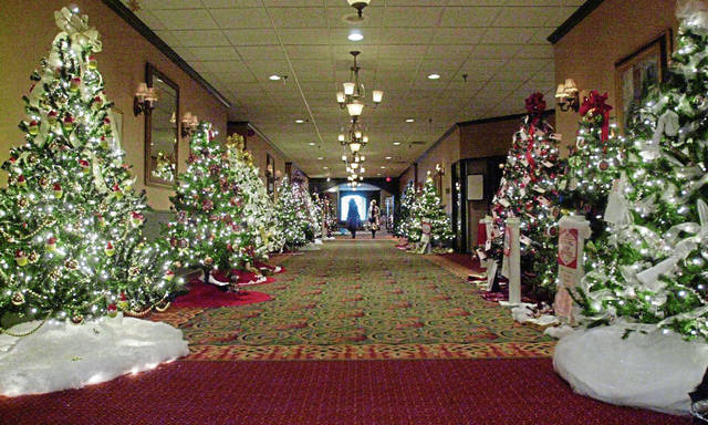 3359859_web1_gtr-ExcelaTree20011130_0199