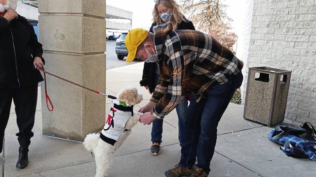 3360586_web1_gtr-KettleDogs2-122420