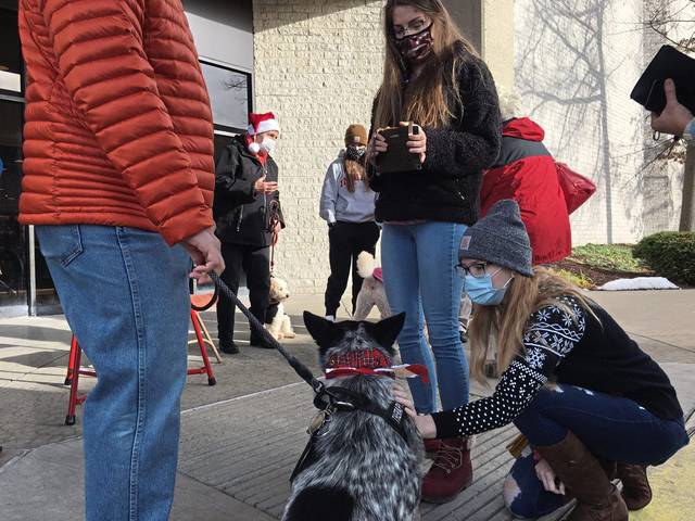 3360586_web1_gtr-KettleDogs5-122420