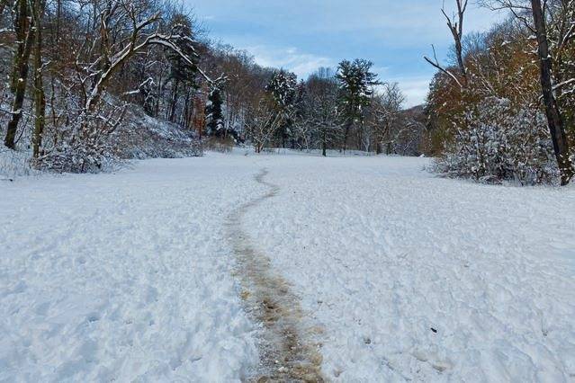 3361359_web1_her-parksconservancy-123120